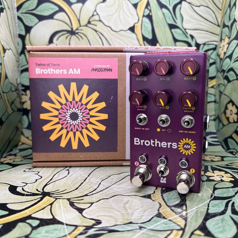 Chase Bliss Brothers AM - Used image 1