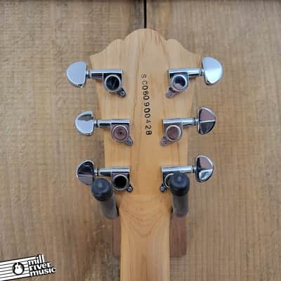 Lyon By Washburn LI15 w/ Gig Bag Used image 6