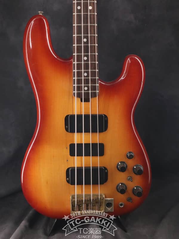 Fernandes 1979-1981 FPM-100 image 1