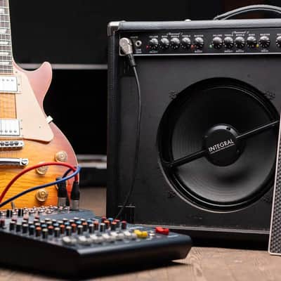 Integral Mics IM10 10-Inch Close Cab Miking System image 3