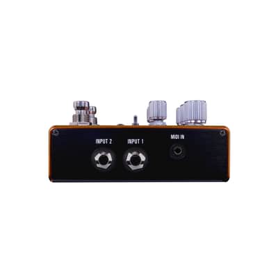 Source Audio Pathways Reverb & Tremolo image 3