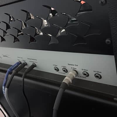 Diezel VH2 2-Channel 100-Watt Guitar Amp Head image 4