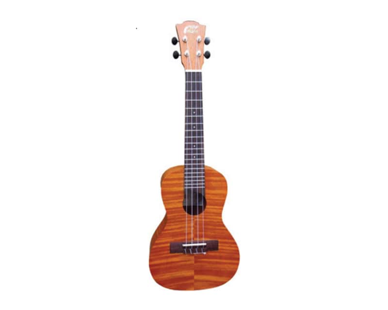 Leho MLUS-XM-TS image 1