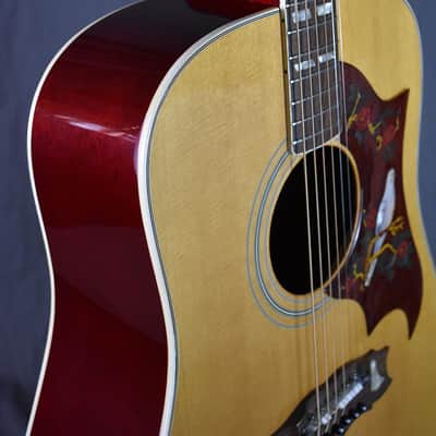 1977 Alvarez 5024 Dove image 4