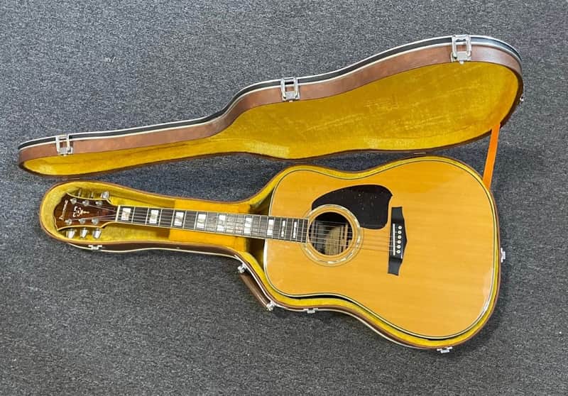 Ibanez V380 | Reverb