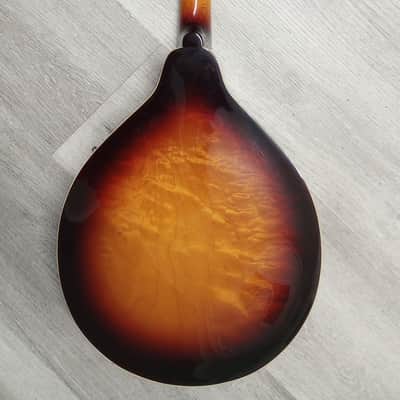 Washburn M1-SW A-Style Mandolin - Tobacco Sunburst image 8