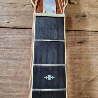 Roy Noble HD-100 Dreadnought Brazillian w/Case 1996 - Natural image 19
