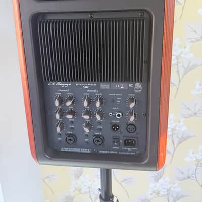 LR Baggs Synapse 500w 2 Channel personal PA system image 3