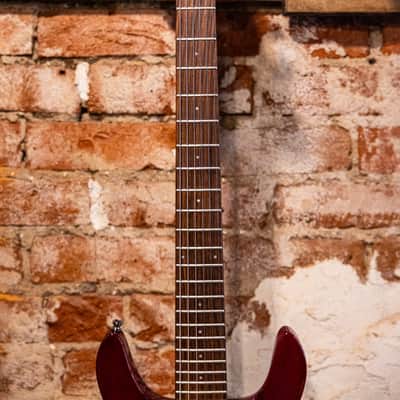 Ampeg Dan Armstrong AMG100 image 3