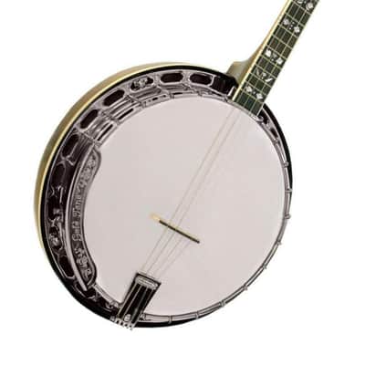 Gold Tone TS-250 Tenor Special 4-String Banjo w/Hardshell Case image 5