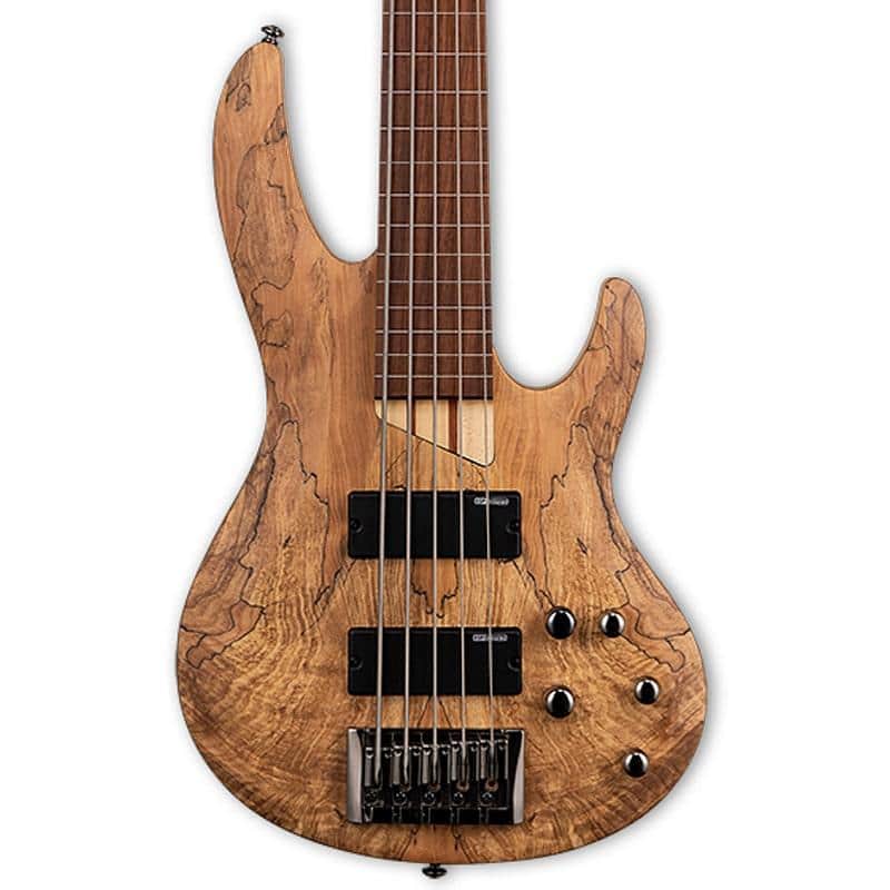 ESP LTD B-205SM Fretless 5-String Bass - Spalted Maple Natural Satin image 1