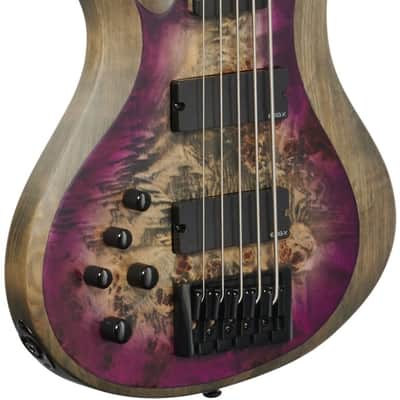Schecter Riot 5 Electric Bass, Left-Handed (5-String), Satin Aurora Burst image 8