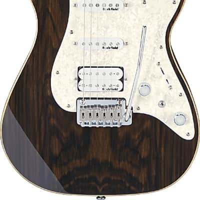 Michael Kelly MK65CSEPRB Custom Collect. 1965 Striped Ebony Top Maple Neck 6-String Electric Guitar image 3