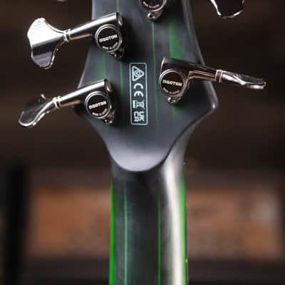 Ibanez Steve Di Giorgio Signature SDGB1-DMT 5-String Fretless Electric Bass - Dark Moss Burst image 6