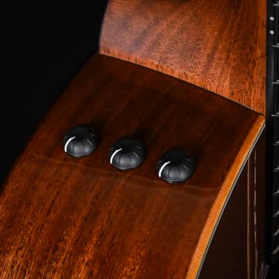 Taylor 354ce Studio Special Edition 12-String w/ Sitka Spruce Top & Sapele Back and Sides Acoustic/ Electric- Honeyburst 2026 (2202046389) image 6