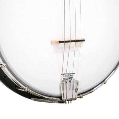 BANJO 4 Cordes GOLD TONE AC-4 IT - acoustique Irish Ténor open back image 3