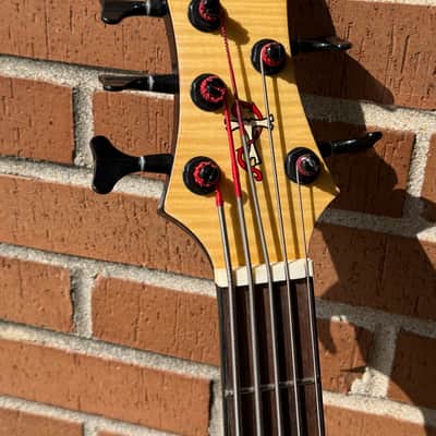 Tobias Toby Pro 5ce 5 String Acoustic Bass image 3