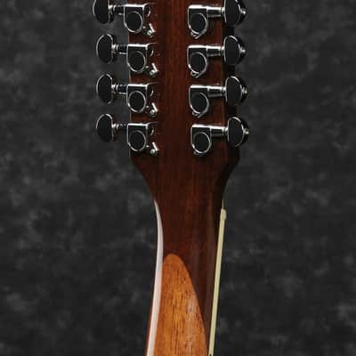 Ibanez PF1512ECE-NT PF Performance Acoustic Guitar 12-String - Natural High Gloss image 10