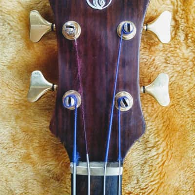 Alembic Series 1 1975 Zebrawood image 1