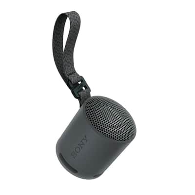 Sony SRS-XB100 Wireless Bluetooth Portable Speaker (Black) with Case Bundle image 7
