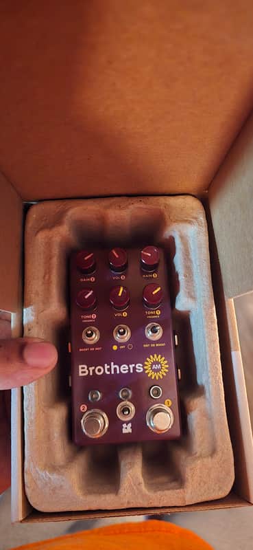Chase Bliss Audio Brothers AM