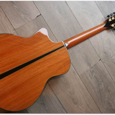 Taylor TAYLOR "Custom GS 12 Build to order LIMITED EDITION" (SECOND HAND) image 3