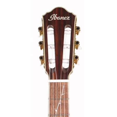 Ibanez TOD10N Tim Henson Signature Nylon Acoustic-Electric Transparent Black Flat Used image 4