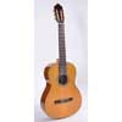 Esteve Classic Series 4STE-CD classic guitar image 7