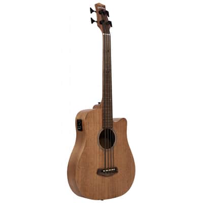 Gold Tone M-Bass 25 Fretless - Electro Acoustic FRETLESS Micro Bass Guitar 25" Scale image 1