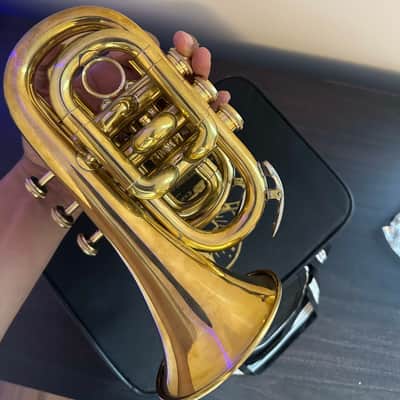 Brand new Pocket Trumpet with Hardcase and Mouthpiece - Brass Gold image 8