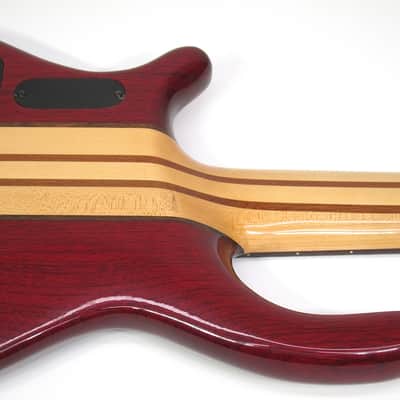 1976 USA Custom Made Electric Bass American Flag Model Red White & Blue Stars & Stripes Inlay wOHSC image 19
