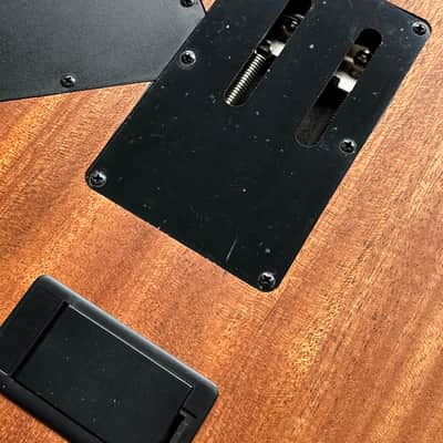 2021 Ibanez RG6PKAG Koa Top & EMG's Reb Beach Vibes image 16