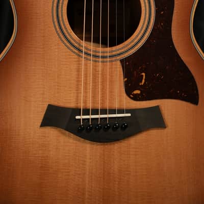 Taylor 314ce Studio 2025 Shaded Edgeburst image 6