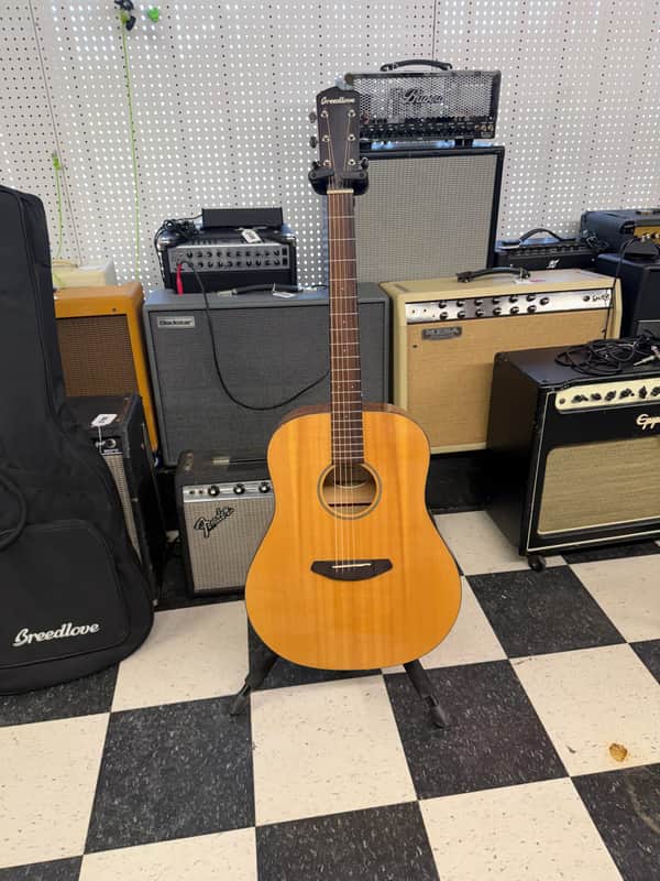 Breedlove Discovery Dreadnought