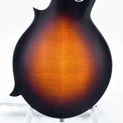Eastman MD315E Sunburst image 8