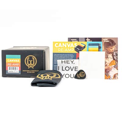 Walrus Audio Canvas: Re-Amp – Studio-Grade Re-Amping Box with Pro Features image 6