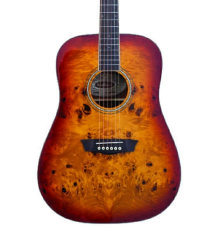 Washburn DFBDA Deep Forest Burl Dreadnought Acoustic Guitar. Amber Fade image 1