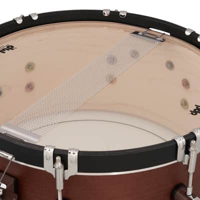 PDP Concept Classic 6.5x14 Walnut Stain Snare with Natural Stain Wood Hoops (PDCC6514SSWN) image 6