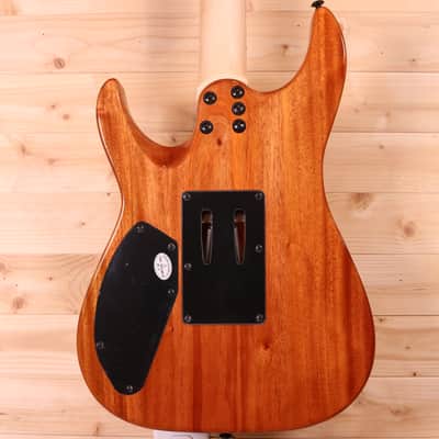 Schecter C-6 FR Pro - Wenge Fingerboard, Aurora Burst image 10