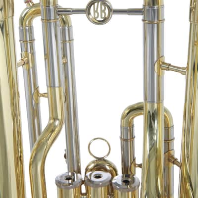 Roy Benson EP-301 in B Euphonium image 5