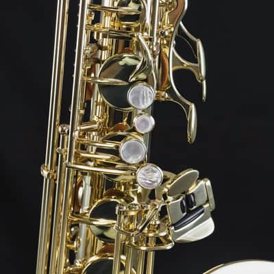 Yanagisawa TWO1 Professional Tenor Saxophone image 4