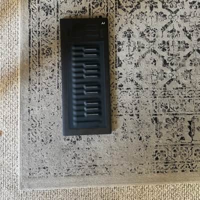 ROLI Seaboard RISE 25 2010s - Black image 4