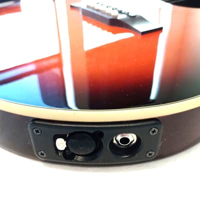 Line 6 Variax 700 Acoustic image 4