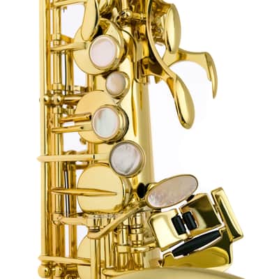 Selmer Alto Sax - Serie II in Gold Lacquer w/Engr image 12