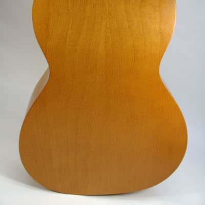 BEAUTIFUL ART & LUTHERIE ACOUSTIC PARLOR GUITAR AMI ALMOND 023097000364 GODIN image 3