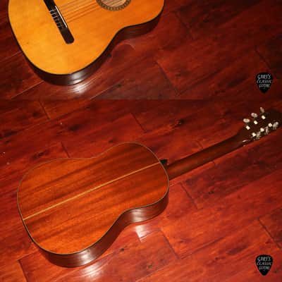 1976 Martin N-10 image 2