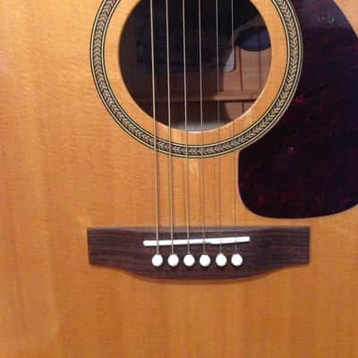 Seagull Artist Cameo CW iBeam Duet 2003 Antique Gloss image 10