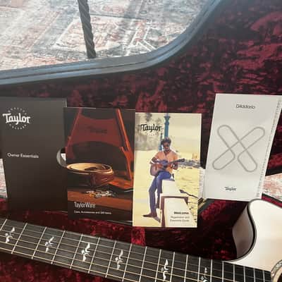 Taylor 50th Anniversary 614ce LTD 2024 - Trans White Edgeburst image 14