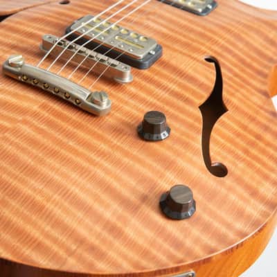 Nik Huber Rietbergen Standard Electric Guitar, Adam Miller Custom Signature image 7