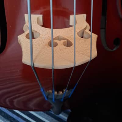 Student Quarter Bass (Yorke Trust) w bow and case image 4
